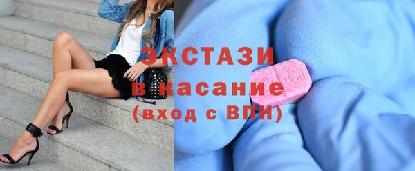 индика Мегион