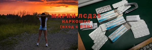 индика Мегион
