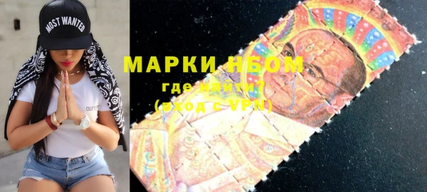 индика Мегион