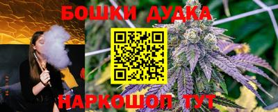 сатива Донецк