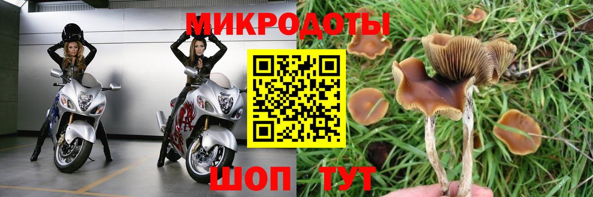 Галлюциногенные грибы мицелий  Вход с VPN  Псилоцибиновые грибы мухоморы  Лабытнанги 